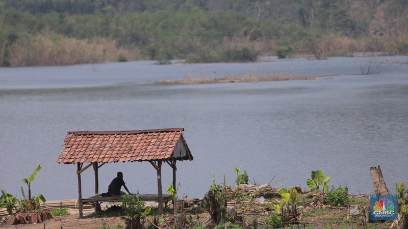 Sebuah Masjid di Kampung Sinday, Desa Pajagan, Kecamatan Sajira, Kabupaten Lebak, terlihat perlahan tenggelam oleh air yang terus meninggi saat proses Waduk Karian, Banten, Kamis, (9/11/2023). (CNBC Indonesia/Muhammad Sabki)