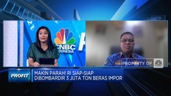 3 Juta Ton Beras Impor Siap Bombardir RI, Apa Sebabnya?
