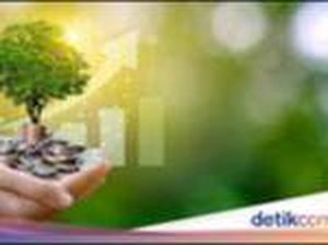 Uang Digital Bisa Lindungi Alam?