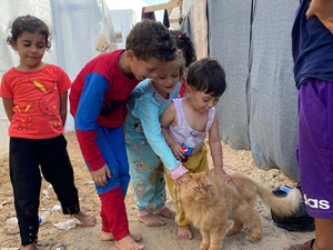 1 Anak Terbunuh di Gaza Setiap 10 Menit