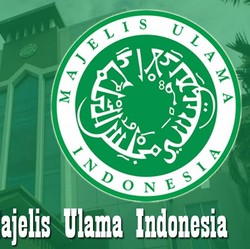 MUI Desak Prabowo Tunda Kenaikan PPN Jadi 12%, Ini Alasannya