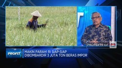 Perpadi: Rencana Impor 3 Juta Beras Picu Kenaikan Harga Beras