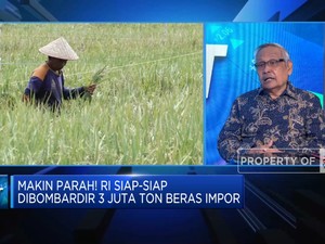 Perpadi: Rencana Impor 3 Juta Beras Picu Kenaikan Harga Beras