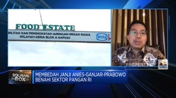 Prabowo Mau Lanjutkan Food Estate, Ekonom Kritisi Hal Ini!