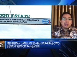 Prabowo Mau Lanjutkan Food Estate, Ekonom Kritisi Hal Ini!