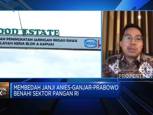 Prabowo Mau Lanjutkan Food Estate, Ekonom Kritisi Hal Ini!
