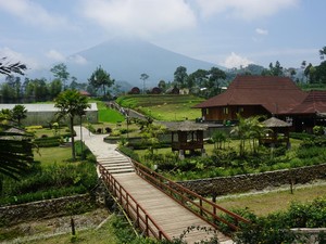 Transaksi QRIS Hadir di Lereng Gunung Slamet, Nilainya Tembus Rp 1,25 M