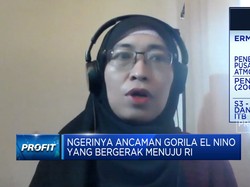 Video: Waspada Gorila El Nino, Pasokan Pangan RI Terancam?