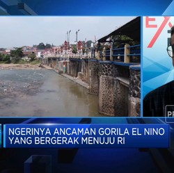 El Nino Bikin RI Kian Sulit Dapat Impor Beras, Apa Solusinya?