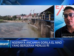 El Nino Bikin RI Kian Sulit Dapat Impor Beras, Apa Solusinya?