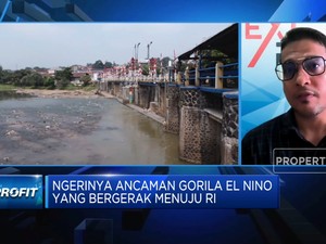 El Nino Bikin RI Kian Sulit Dapat Impor Beras, Apa Solusinya?