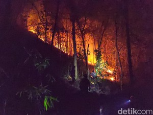 4 Hektare Kawasan Hutan Perhutani di Tulungagung Terbakar