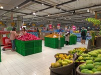 Anggur Muscat Murah Banget di Transmart! Cek Harganya di Sini