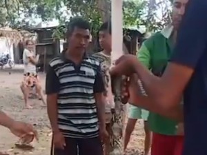 Aksi Sadis Warga Kupang Sembelih Piton yang Ditemukan di Jembatan Liliba