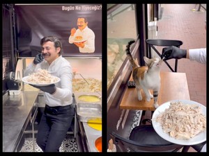 Banjir Pujian! Chef Ini Racik Nasi Ayam Enak Buat Kucing Jalanan