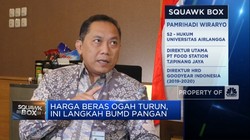 Video: Harga Beras 