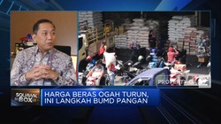 Harga Gula di Jakarta Naik, Bos BUMD Pangan Ungkap Fakta Ini!