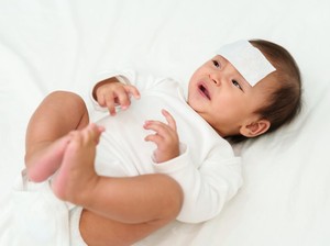 Virus Japanese Encephalitis yang Ramai di Kulon Progo Rentan Serang Anak