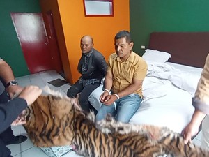 Jual Kulit Harimau-Sisik Trenggiling, Kakak Beradik di Sidimpuan Ditangkap