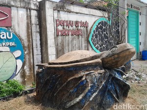 Menilik Penangkaran Penyu di Pantai Batu Hiu Pangandaran