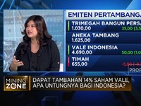 MIND ID Kuasai 34% Saham Vale, Hilirisasi Nikel Kian Ngebut?