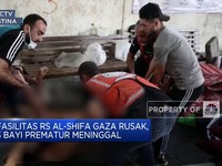 RS Al-Shifa Rusak, 3 Bayi Prematur Palestina Meninggal