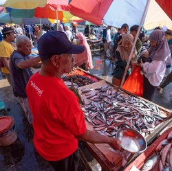 10 Ikan Dengan Kandungan Merkuri Tinggi, Wajib Cek Sebelum Beli