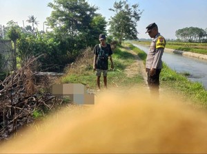 Wanita Diduga Dibunuh di Tepi Sungai Jember, Ada Luka Bekas Gorok