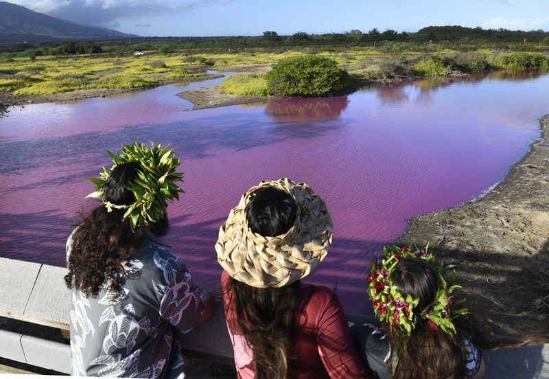 Aliran air sungai di Hawaii berubah menjadi warna merah muda. (Matthew Thayer/The Maui News via AP) Aliran air sungai di Hawaii berubah menjadi warna merah muda. (Matthew Thayer/The Maui News via AP)