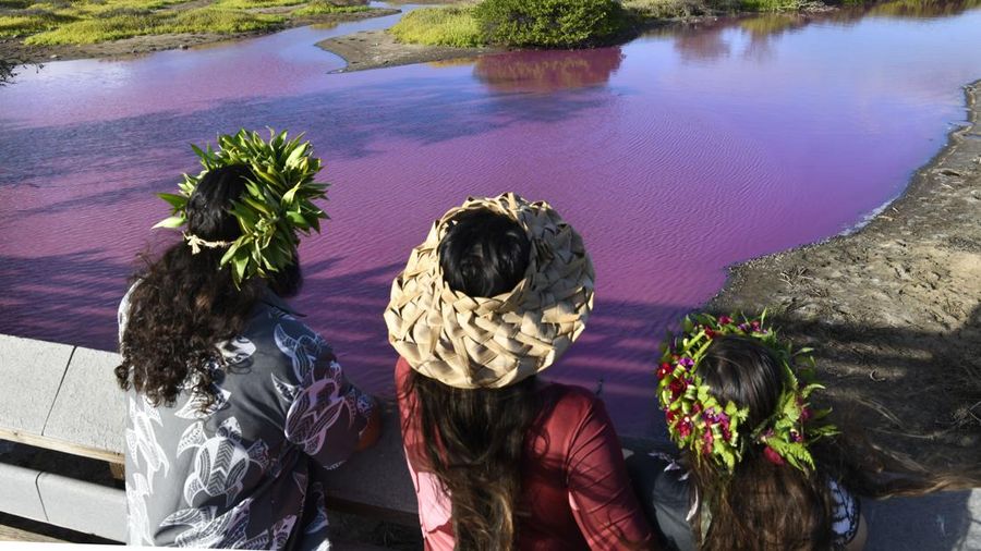 Aliran air sungai di Hawaii berubah menjadi warna merah muda. (Matthew Thayer/The Maui News via AP)
