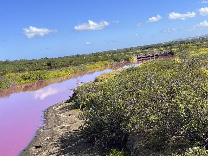 Aliran air sungai di Hawaii berubah menjadi warna merah muda. (Matthew Thayer/The Maui News via AP) Aliran air sungai di Hawaii berubah menjadi warna merah muda. (Matthew Thayer/The Maui News via AP)