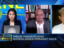 Bangun Pembangkit Nuklir, Bahan Baku Hingga SDM RI Siap?