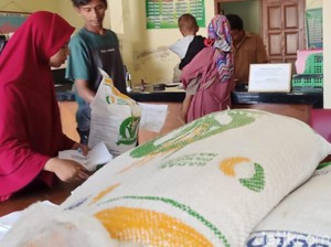 Bos Badan Pangan Ungkap Alasan Bantuan Beras Tak Lagi dari Kemensos