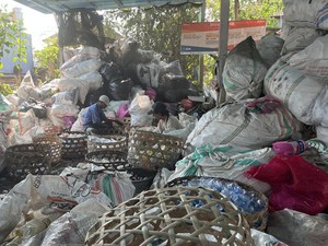 Griya Luhu: Start Up Bank Sampah dari Pulau Dewata