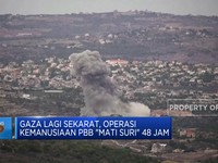 Gaza Lagi Sekarat, Operasi Kemanusiaan PBB 