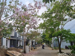 7 Jenis Pohon Cantik dan Aman untuk Halaman, Tak Ganggu Fondasi Rumah