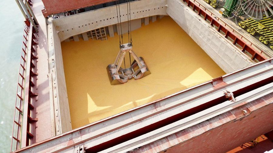 Bongkar muat 20.000 ton jagung impor di Pelabuhan Teluk Lamong, Surabaya, Rabu (15/11/2023). (Dok. Humas Bapanas)