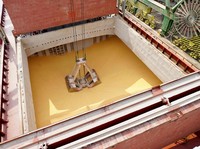 Peternak Siap-siap, 20.000 Ton Jagung Impor Hari Ini Masuk RI