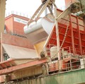 151.000 Ton Jagung Impor Bakal Banjiri RI, Untuk Apa?