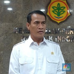 Mentan Punya Jurus Ini agar RI Tak Dibombardir Beras Impor