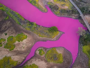 Aneh, Telaga di Hawaii Berubah Warna Menjadi Ungu