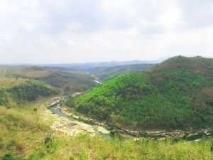 Mengenal Wanagama, Wisata Hutan Pendidikan UGM dan 7 Daya Tariknya