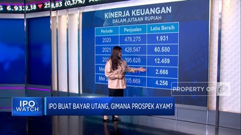 IPO Buat Bayar Utang, Prospek AYAM Gimana?