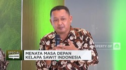 Jadi Petani Sawit Tidak Sejahtera? Cek Dulu Faktanya!