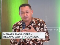 Jadi Petani Sawit Tidak Sejahtera? Cek Dulu Faktanya!