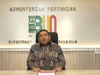 Jurus Pemerintah Menata Masa Depan Kelapa Sawit RI