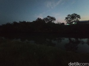 Asal-usul Cerita Buaya Putih Penghuni Sungai Kriyan Cirebon