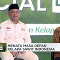 Sawit Sumbang Devisa Terbesar di Tengah El Nino, Kok Bisa?