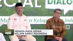 Sawit Sumbang Devisa Terbesar di Tengah El Nino, Kok Bisa?