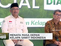 Sawit Sumbang Devisa Terbesar di Tengah El Nino, Kok Bisa?